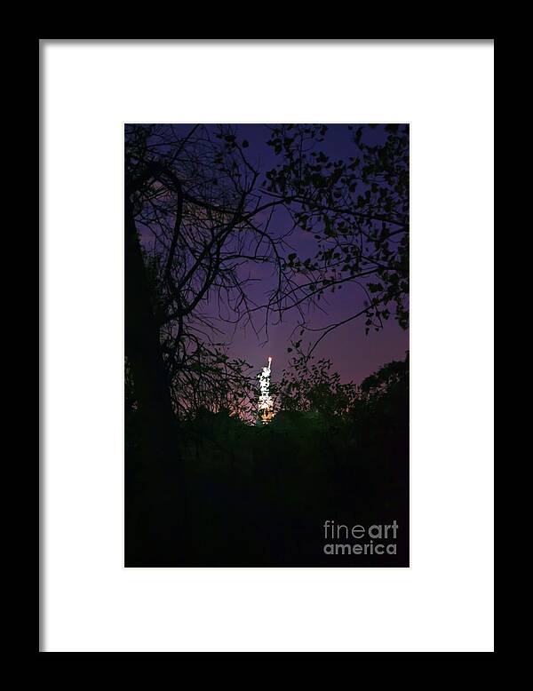Statue Of Liberty Framed Print featuring the photograph Hidden Statue of Liberty by PatriZio M Busnel