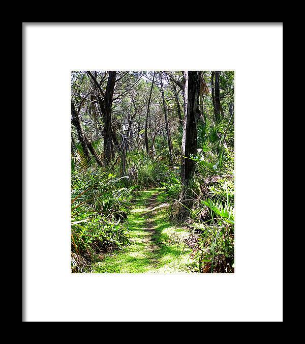 Trail Framed Print featuring the photograph Hidden Trail by Judy Wanamaker