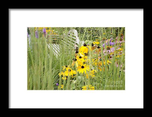 Benches Framed Print featuring the photograph Hiding Alone by Tina Hailey