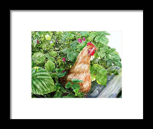 Chicken Framed Print featuring the digital art Hiding In The Raspberry Bushes by Ric Darrell
