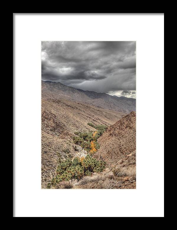Palm Framed Print featuring the photograph High Above the Oasis by Matthew Bamberg
