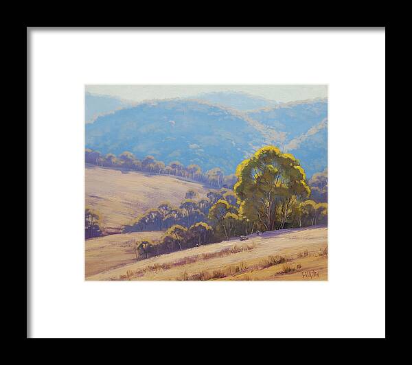 Rural Framed Print featuring the painting Highland grazing Lithgow by Graham Gercken