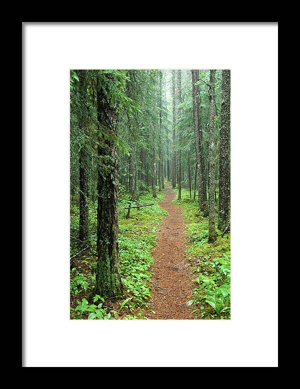 Pixels Framed Print featuring the photograph Hike to White River in Pukaskwa National Park by Rob Huntley