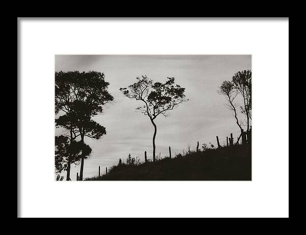 Hill Framed Print featuring the photograph Hill by Amarildo Correa