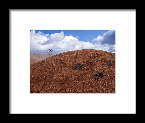 Color Framed Print featuring the photograph Hill and tree by Arkady Kunysz