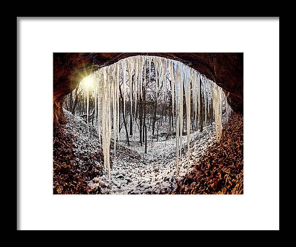 2012 Framed Print featuring the photograph Hinding from winter by Robert Charity