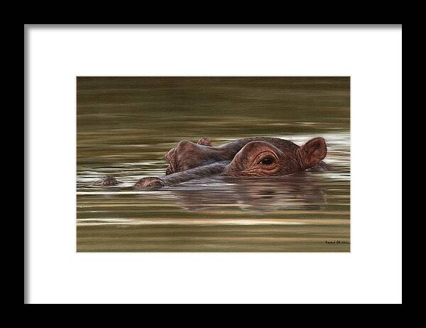 Hippopotamus Framed Print featuring the painting Hippo Painting by Rachel Stribbling