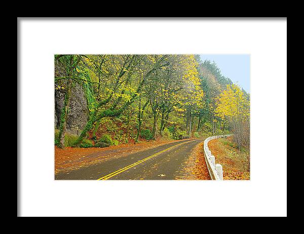 Oregon Framed Print featuring the photograph Historic Columbia Gorge Highway by Steve Warnstaff