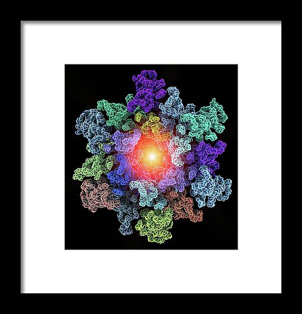 Molecular Framed Print featuring the photograph Hiv-1 Capsid In Intact Virus Particle by Alfred Pasieka