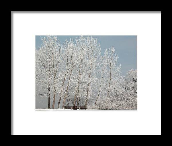 Bench Framed Print featuring the photograph Hoarfrost Trees and Benches along the Ottawa River by Rob Huntley