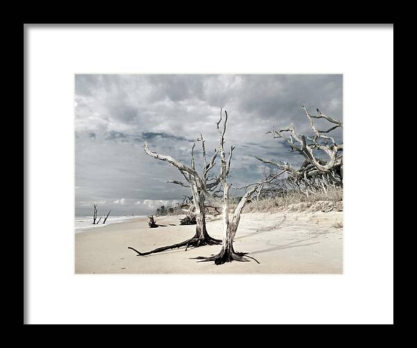 Landscape Framed Print featuring the photograph Hobcaw Boneyard Beach 2 by Deborah Smith