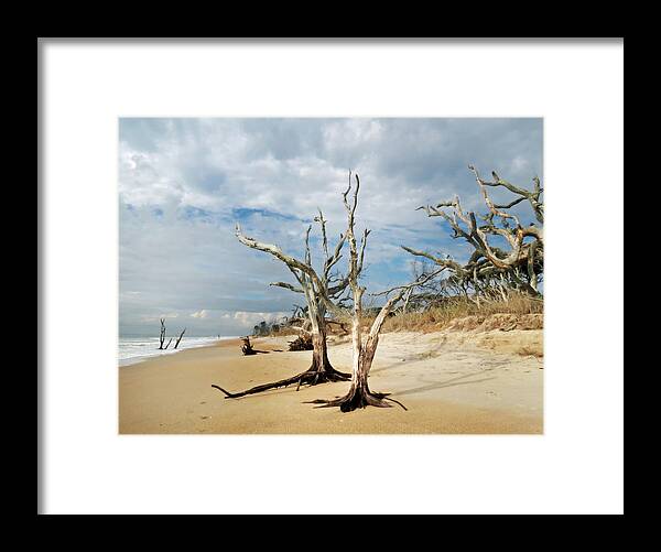 Landscape Framed Print featuring the photograph Hobcaw Boneyard Beach by Deborah Smith
