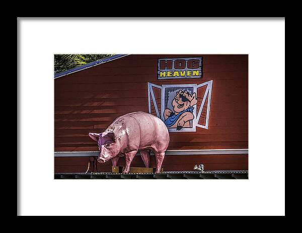 Pig Framed Print featuring the photograph Hog Heaven by Brian Wright