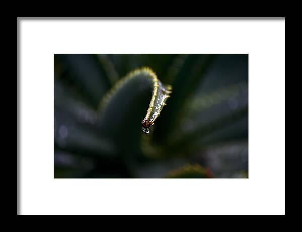 Water Framed Print featuring the photograph Hold On by Nadalyn Larsen