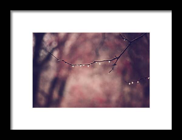 Inspirational Artwork Framed Print featuring the photograph Hold On by Sara Frank
