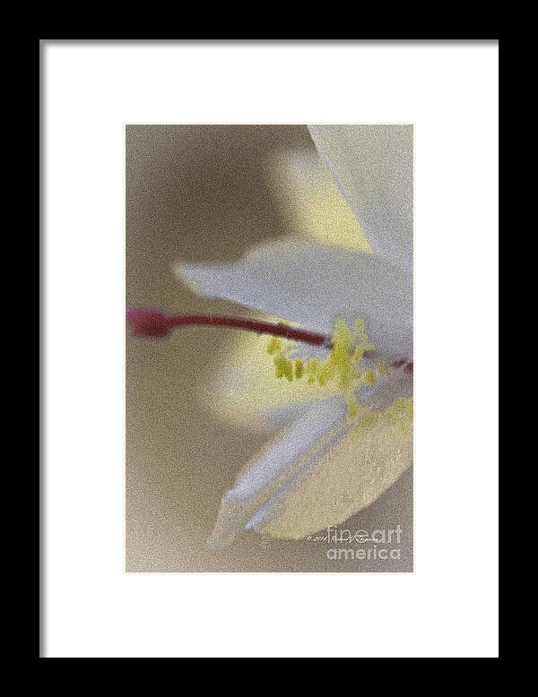 Flower Framed Print featuring the photograph Holiday Cactus by Richard J Thompson 