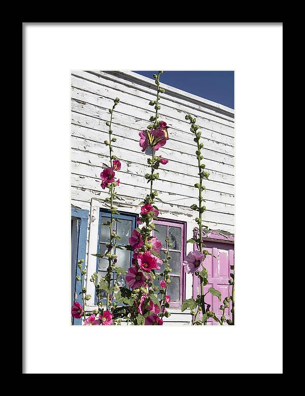Flowers Framed Print featuring the photograph Hollyhocks and Butterfly by Cathy Anderson