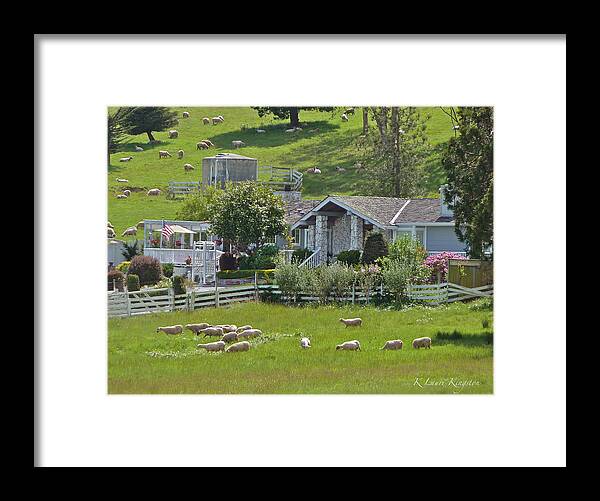 Animal Framed Print featuring the photograph Home Sheep Home by K L Kingston