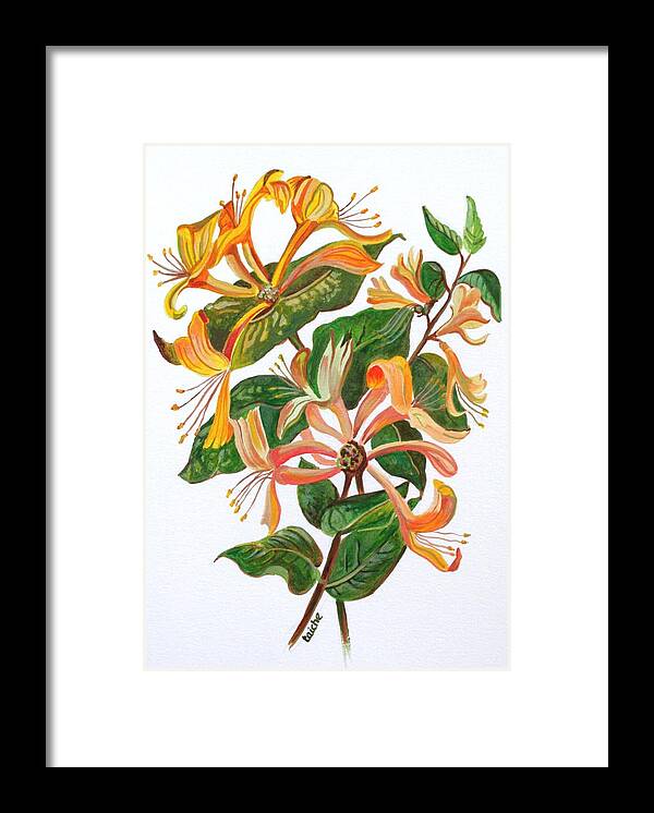 Honeysuckles Framed Print featuring the painting Honeysuckle by Taiche Acrylic Art