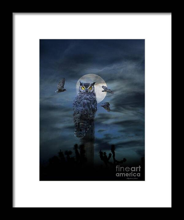 Owl Framed Print featuring the photograph Hoot Nanny by Stephanie Laird