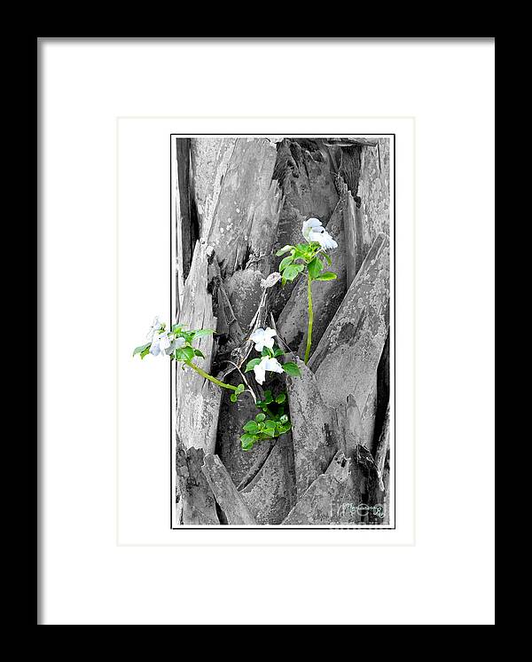 Flora Framed Print featuring the photograph Hope... From Decay New Growth by Mariarosa Rockefeller