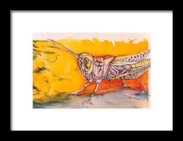 Watercolor Framed Print featuring the painting Hopper by Adria Trail