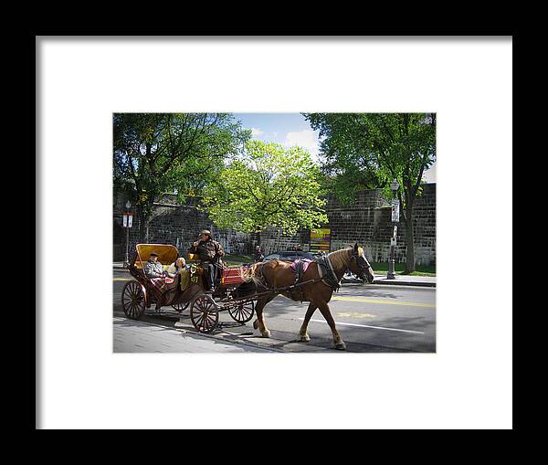 Horse Framed Print featuring the photograph Horse and Buggy by Nicky Jameson