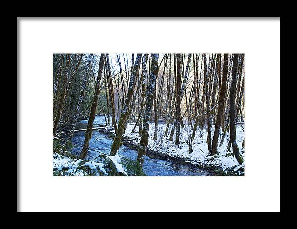Creek Framed Print featuring the photograph Horse Creek No. 2 by Belinda Greb