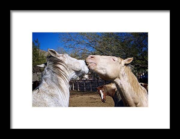Animals Framed Print featuring the photograph Horse Emotion by Mary Lee Dereske
