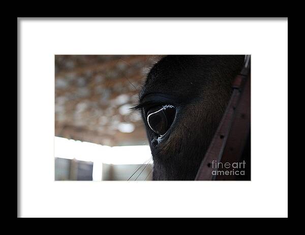 Horse Framed Print featuring the photograph Horse Eye from Behind by Janice Byer