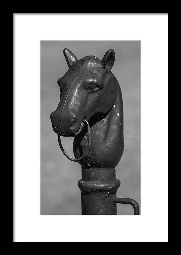 Belle Meade Framed Print featuring the photograph Horse Head Hitching Post by Robert Hebert