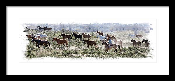 Horse Framed Print featuring the photograph Horse Roundup by Judy Deist