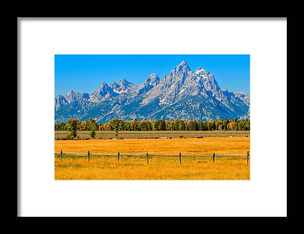 Tetons Framed Print featuring the photograph Horses at the Cathedral by Greg Norrell