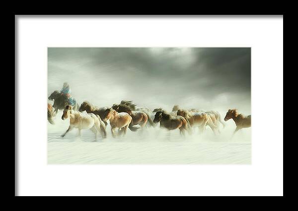 Horse Framed Print featuring the photograph Horses Gallop by Shu-guang Yang
