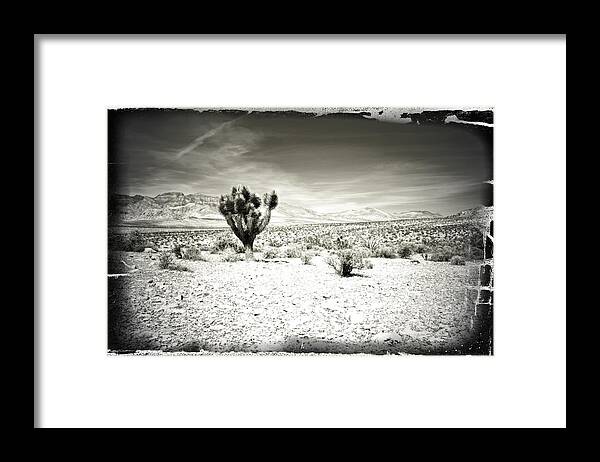 Southwest Framed Print featuring the photograph Host by Mark Ross
