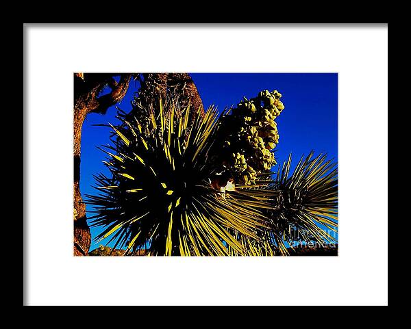 Desert Sun Framed Print featuring the photograph HoT 2014 by Angela J Wright