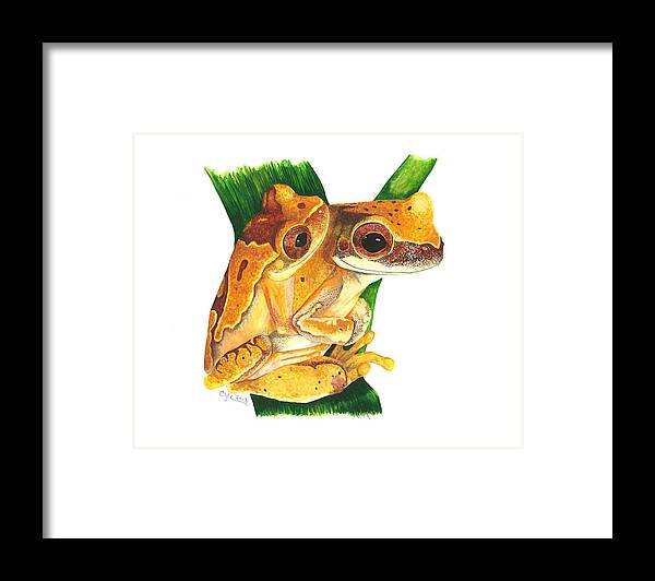 Hourglass Treefrog Framed Print featuring the painting Hourglass treefrog by Cindy Hitchcock
