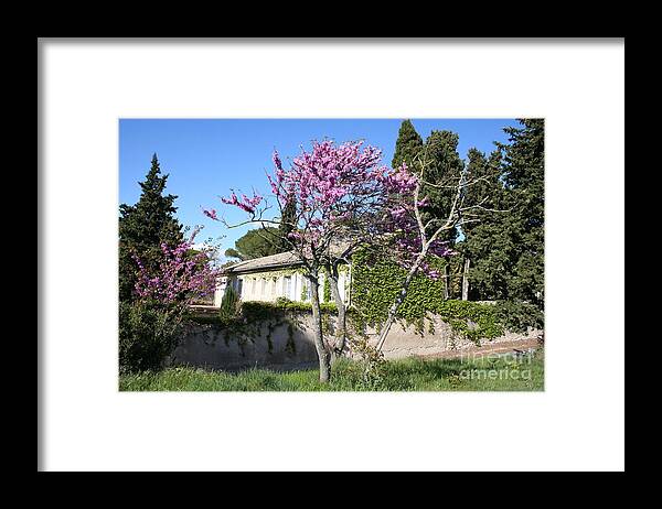 House Framed Print featuring the photograph House In The Provence by Christiane Schulze Art And Photography
