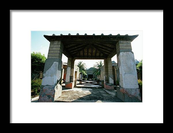 House Of The Deer Framed Print featuring the photograph House Of The Deer by Pasquale Sorrentino/science Photo Library