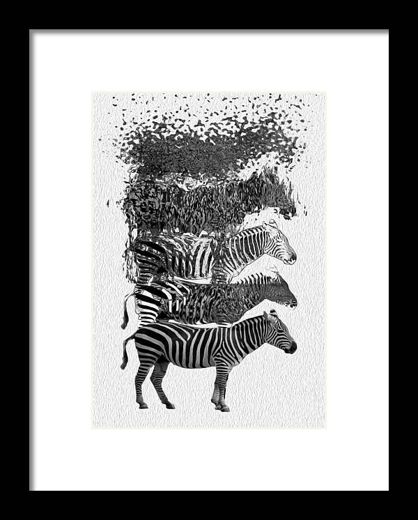 Zebra Framed Print featuring the painting How To Make A Zebra by Jack Zulli