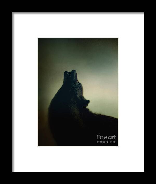 Wolf Framed Print featuring the photograph Howling by Margie Hurwich