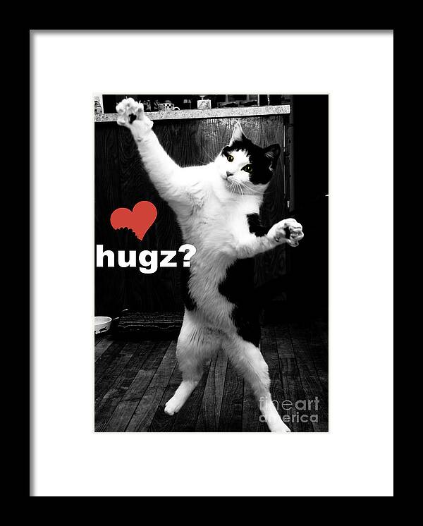 Cats Framed Print featuring the photograph Hugz by Cheryl Baxter