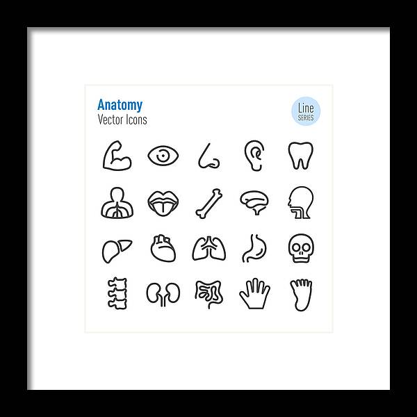 Human Lung Framed Print featuring the drawing Human Anatomy Icons - Vector Line Series by -victor-