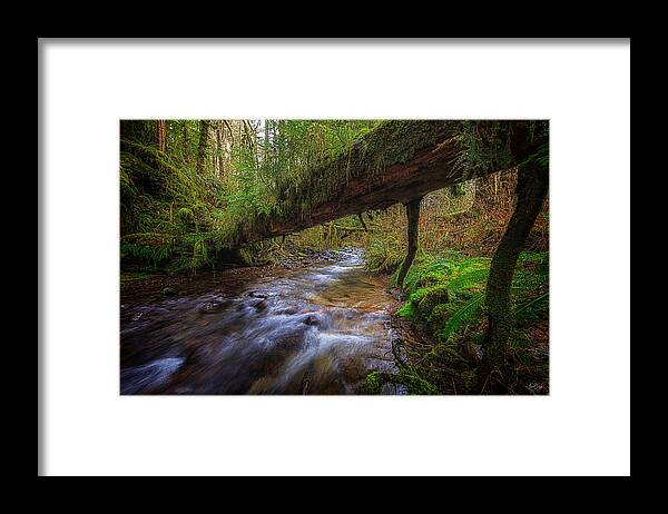 Oregon Framed Print featuring the photograph Humbug Creek by Everet Regal