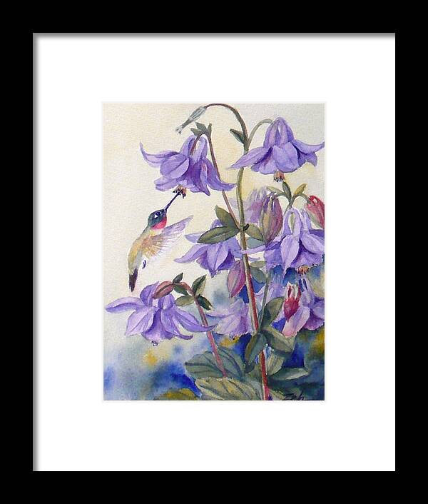 Hummingbird Art Framed Print featuring the painting Hummingbird and Purple Columbine by Janet Zeh