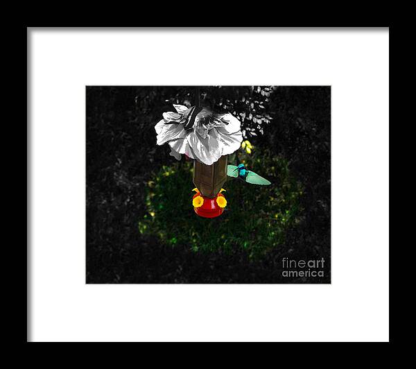 Bird Framed Print featuring the photograph Hummingbird In The Spotlight by Al Bourassa