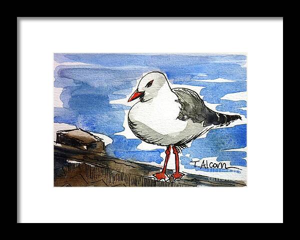Seagull Framed Print featuring the painting Hungry Seagull - original Sold by Therese Alcorn