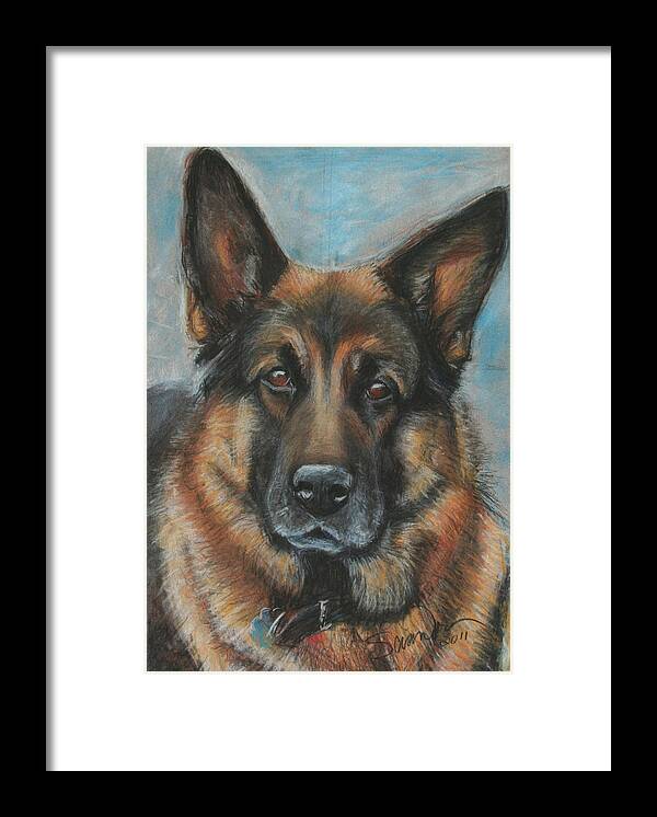 German Shepherd Artwork Framed Print featuring the painting Hussler-German Shepherd Dog by Sciandra 