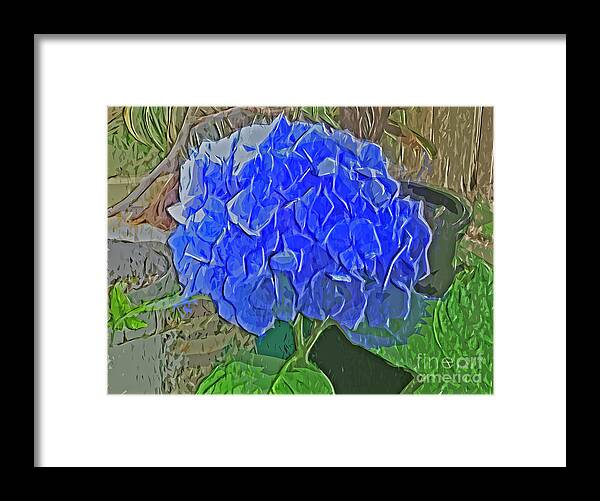  Hydrangea Blues Framed Print featuring the photograph Hydrangea Blues by Luther Fine Art