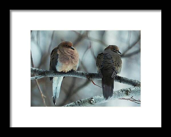 Two Doves Framed Print featuring the photograph I am not talking by Vance Bell